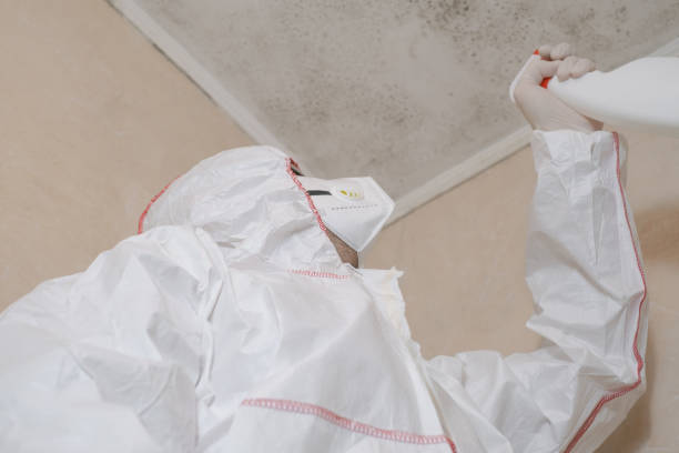 Water Damage Restoration in North Bellport, NY